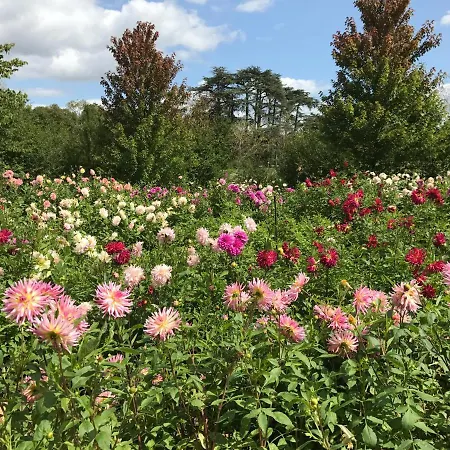 Maison d'hôtes Clos Saint Léonard 3*