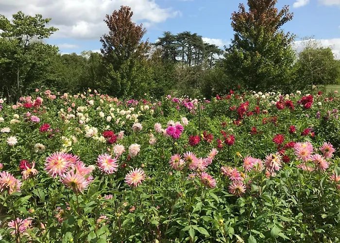 Gasthuis Clos Saint Leonard 3*